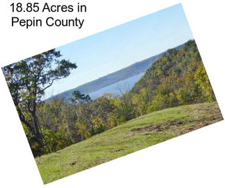 18.85 Acres in Pepin County