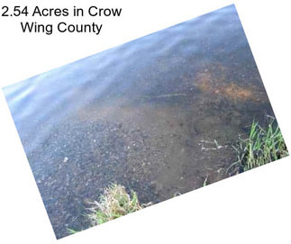 2.54 Acres in Crow Wing County