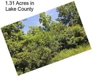 1.31 Acres in Lake County