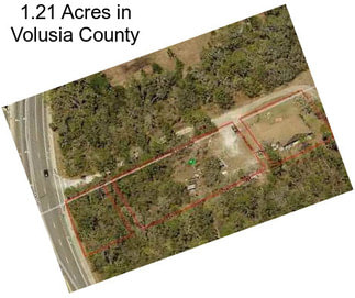 1.21 Acres in Volusia County