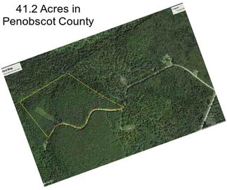 41.2 Acres in Penobscot County