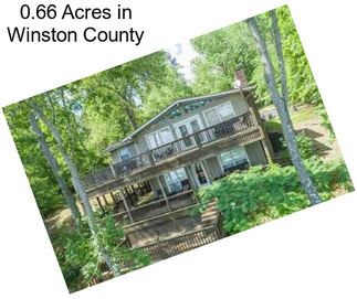 0.66 Acres in Winston County