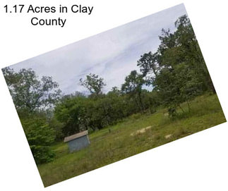 1.17 Acres in Clay County