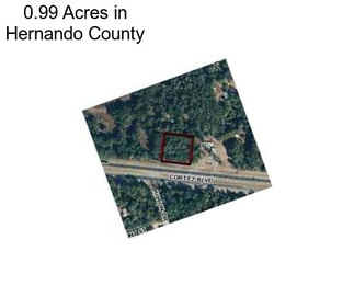 0.99 Acres in Hernando County