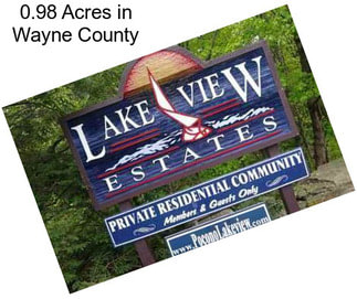 0.98 Acres in Wayne County