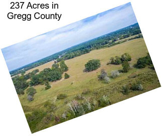 237 Acres in Gregg County