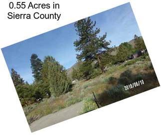 0.55 Acres in Sierra County