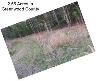 2.56 Acres in Greenwood County