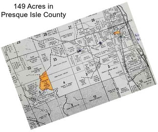 149 Acres in Presque Isle County