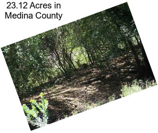 23.12 Acres in Medina County