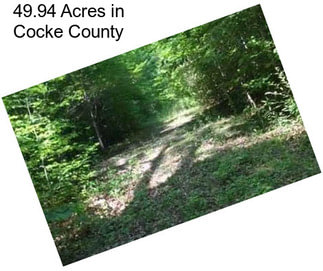 49.94 Acres in Cocke County