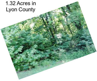 1.32 Acres in Lyon County