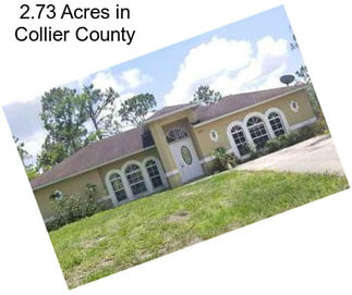 2.73 Acres in Collier County