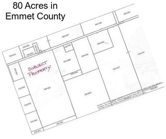 80 Acres in Emmet County