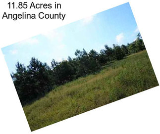 11.85 Acres in Angelina County