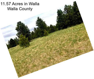 11.57 Acres in Walla Walla County