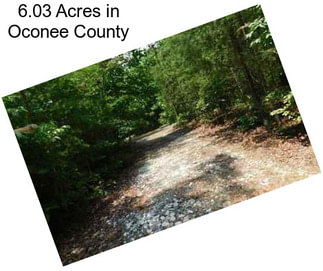 6.03 Acres in Oconee County