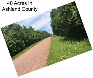 40 Acres in Ashland County