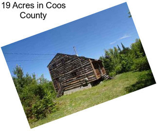 19 Acres in Coos County