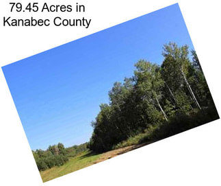 79.45 Acres in Kanabec County