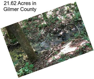 21.62 Acres in Gilmer County