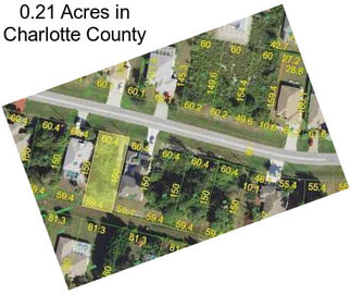 0.21 Acres in Charlotte County