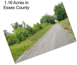 1.16 Acres in Essex County