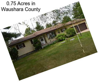 0.75 Acres in Waushara County