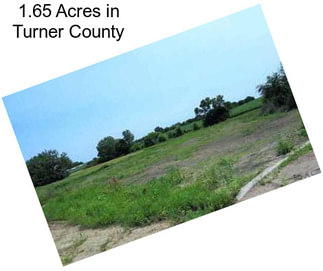 1.65 Acres in Turner County