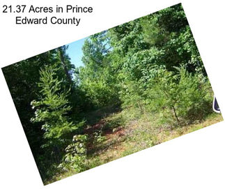 21.37 Acres in Prince Edward County