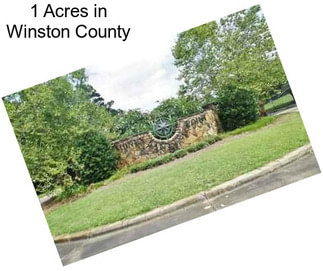 1 Acres in Winston County