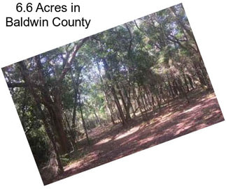 6.6 Acres in Baldwin County