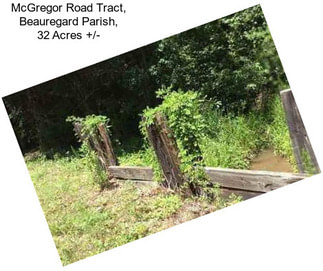 McGregor Road Tract, Beauregard Parish, 32 Acres +/-