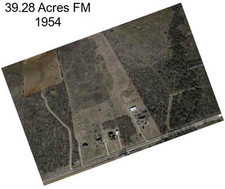 39.28 Acres FM 1954