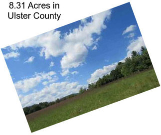 8.31 Acres in Ulster County