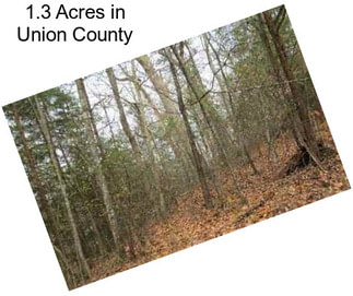 1.3 Acres in Union County