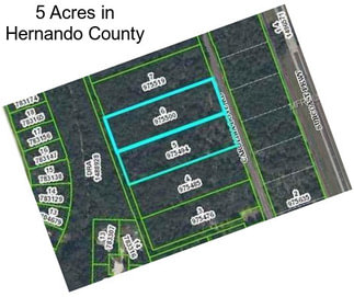 5 Acres in Hernando County