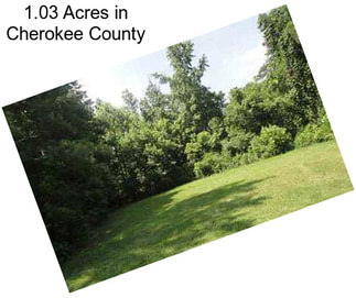 1.03 Acres in Cherokee County