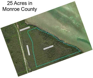 25 Acres in Monroe County