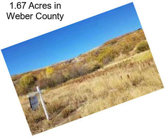 1.67 Acres in Weber County