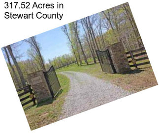 317.52 Acres in Stewart County