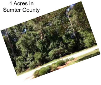 1 Acres in Sumter County