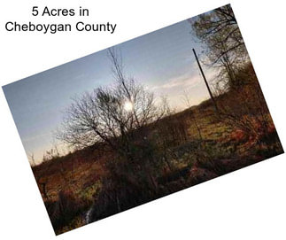 5 Acres in Cheboygan County
