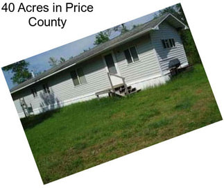 40 Acres in Price County