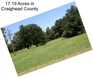 17.19 Acres in Craighead County