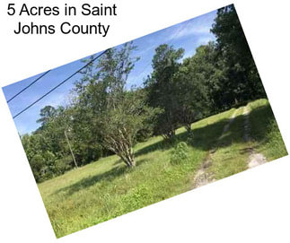 5 Acres in Saint Johns County