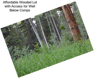 Affordable Wooded Lot with Access for Well Below Comps