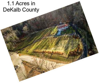 1.1 Acres in DeKalb County