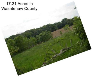 17.21 Acres in Washtenaw County