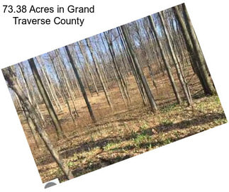 73.38 Acres in Grand Traverse County